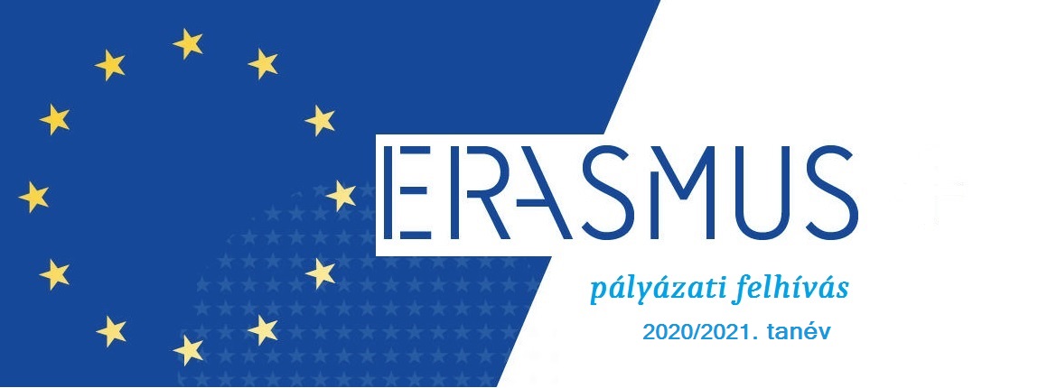 Erasmus_paly